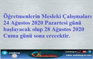 Öğretmenlerin Mesleki Çalışmaları